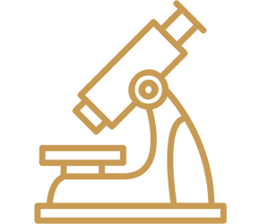 0_0007_microscope