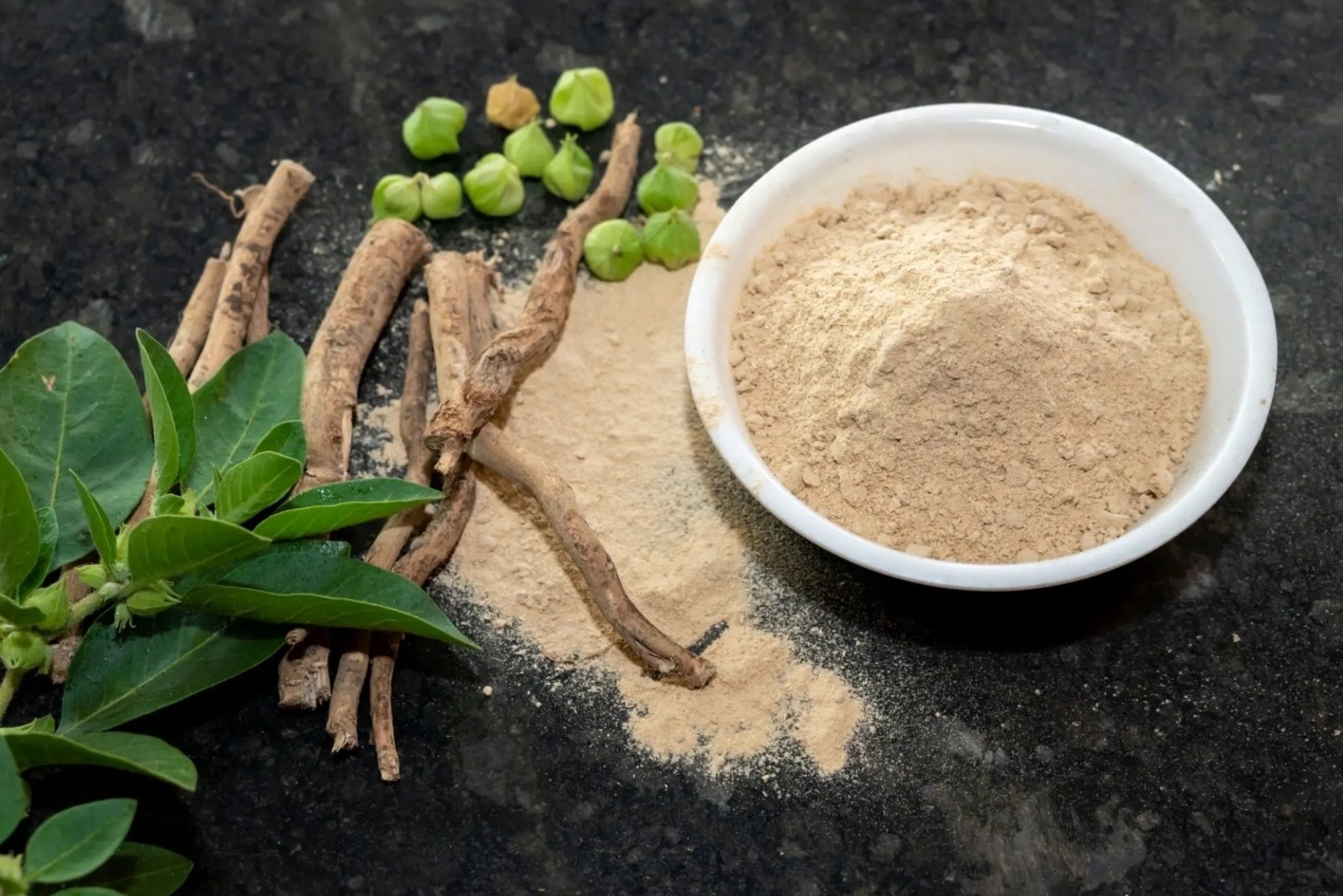 withania somnifera ( Ashwagandha) dried root, Root powder, green leaves herbal plants. withania somnifera isolated on white background